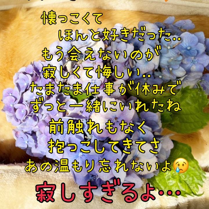 0c0faaa9 7740 4004 bed7 764275a7070b 1752823056635