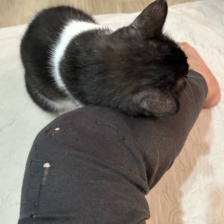 0c0ff9d9 8142 4f4d be44 17682456f52a 1755866304221