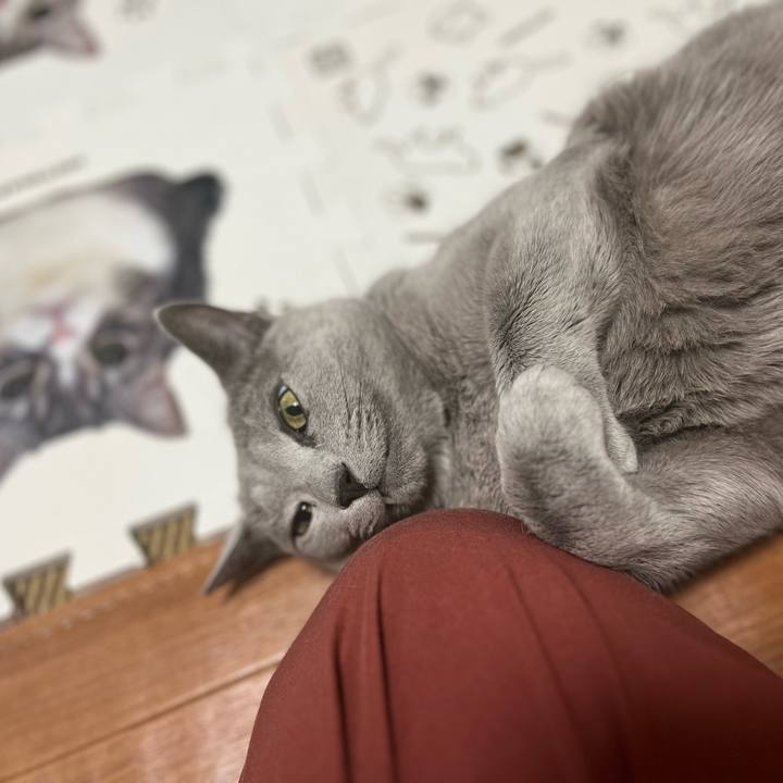 0c0ffb16 eb82 433c 84bb 609e0e8cedcd 1697168538163