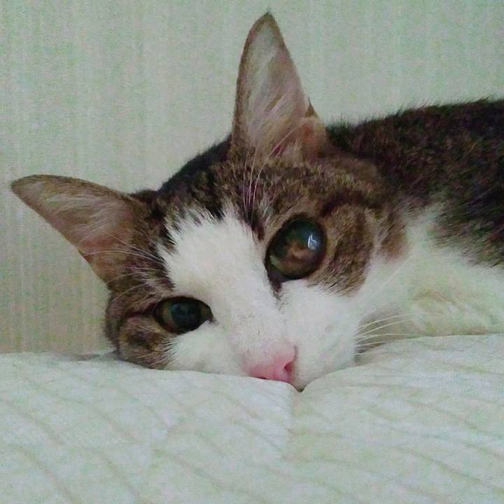 0c10119b d3a9 4c11 9180 e2c19b24b413 1537785327080