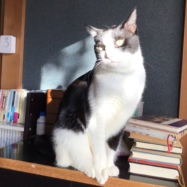 0c101620 2d4f 4c1e ae79 655d02f7e752 1735084608504