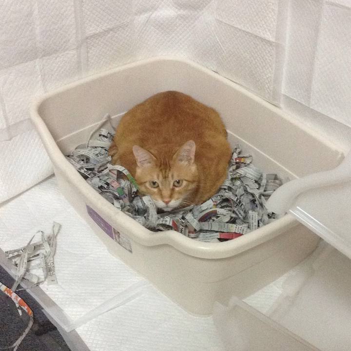 0c104a33 6285 4e20 8a65 d9b582a26d2b 1600940042917