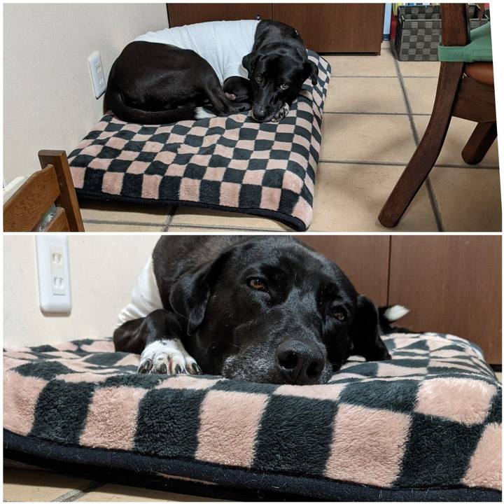 0c1058f7 b4e4 4d5a a456 a860ef627d09 1635780633562