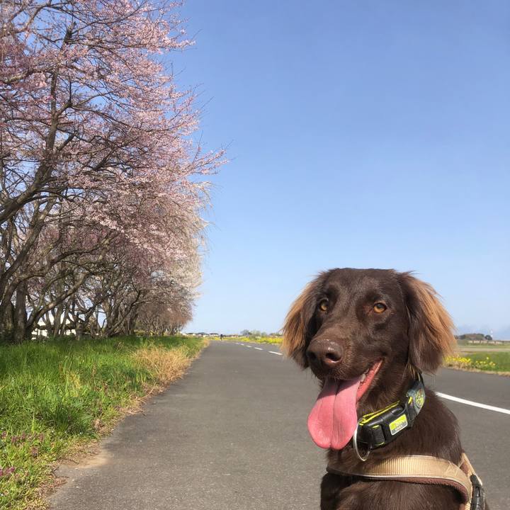 0c105aa6 c41a 4b54 8ae4 ac26c4c203bc 1584779600144