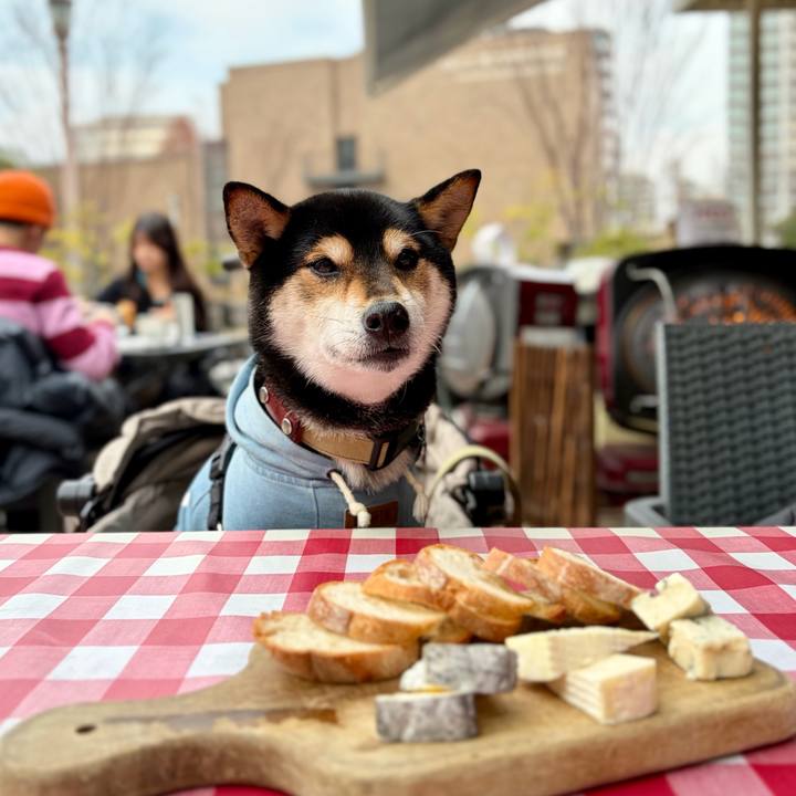 0c10a16b e912 4122 81f4 790aadd64644 1767166496579