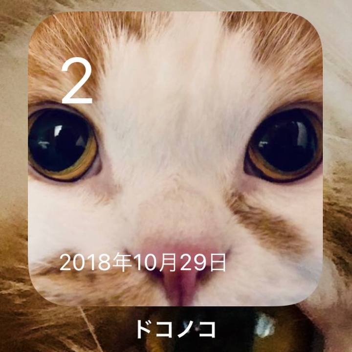 0c10cb5f 2fb3 481d 853d 027c5d5706c9 1635833073628
