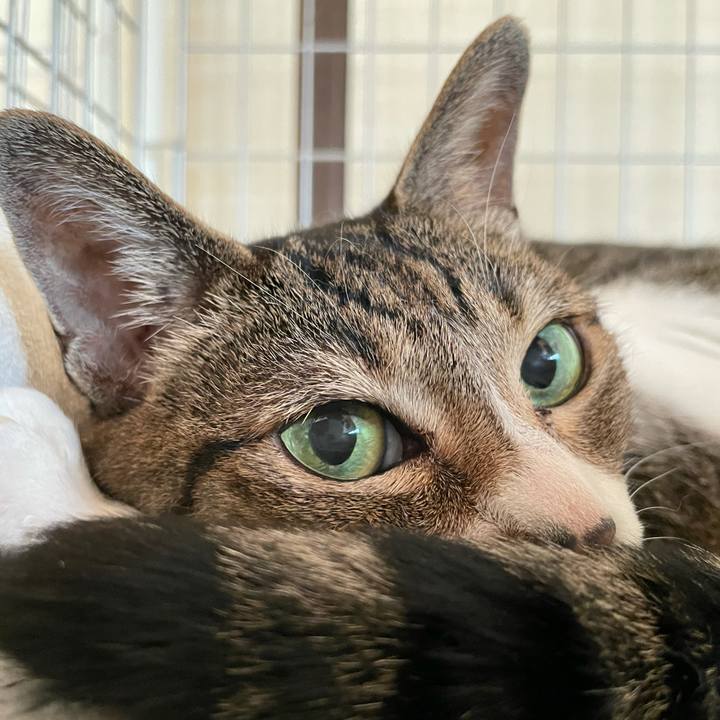 0c10e83f cf04 45f4 ba37 26e6d9bcb543 1633136624638