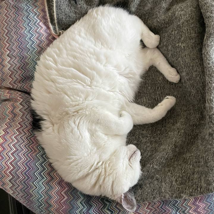 0c10eaa2 0ed7 456a 88a1 79f13b0068cc 1670988067709