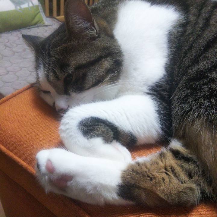 0c10ef27 7cca 42a9 94ad ff3c5a82ef88 1658308309246