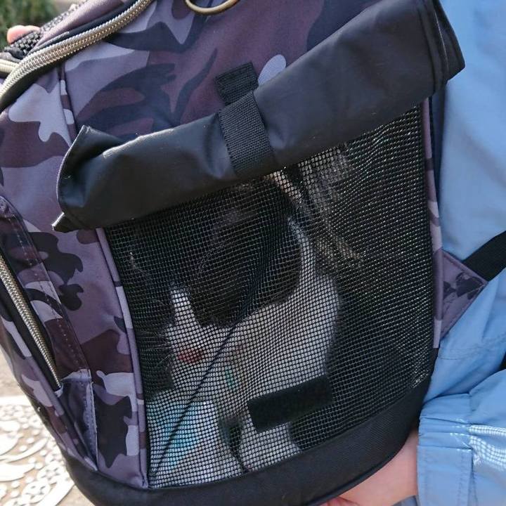 0c10f42c ce18 4ef6 b4dc 756efa229f73 1648293366131