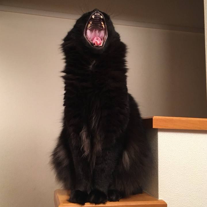 0c11c04d 7708 48e7 92d2 e579cb541f9f 1515494575174