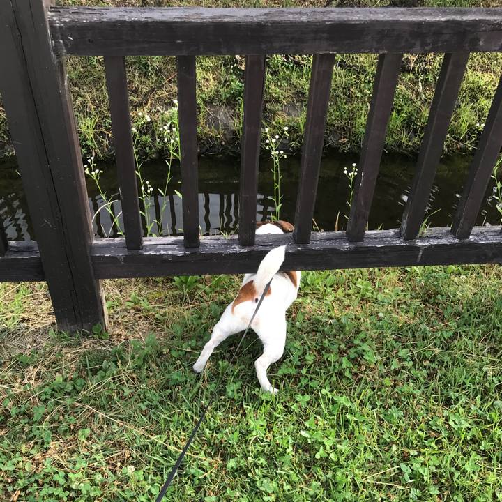 0c122cc9 c45d 4e71 80fd 4adaf8bb16d1 1530320097008