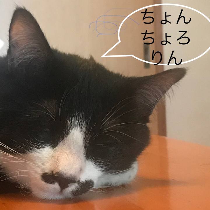 0c127b43 dd4c 4e20 a9dd 4e5ba094c60e 1650330053985