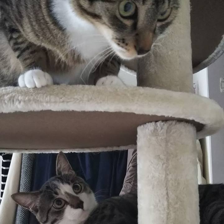 0c127eb2 826f 4347 b485 905a12efee88 1605780076841