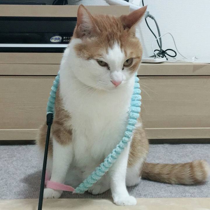 0c1296ef 9f52 4d54 bdee 8ab8bf704ce2 1515070209045