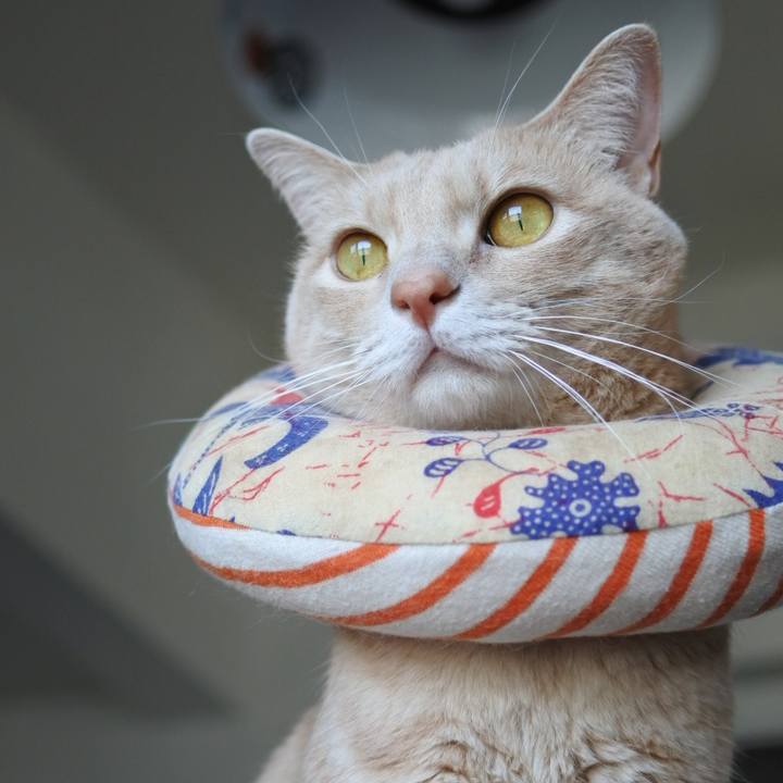 0c12b8bd a37e 4032 a548 d04911d83aad 1711865943110