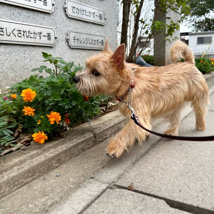 0c12bc08 f327 449f aacc 773299d97091 1725328965404