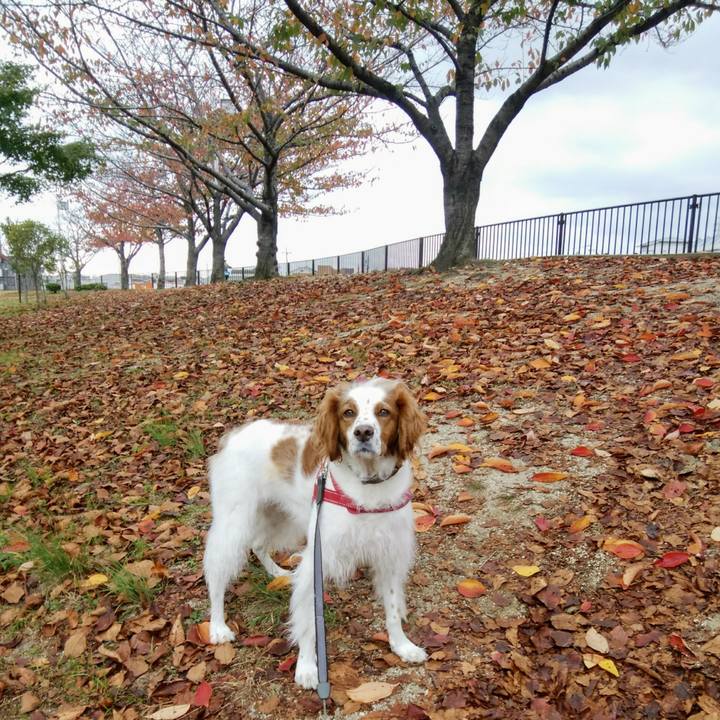 0c12bea6 2c06 4c1c 883e 0c6c8943cd33 1542617987422