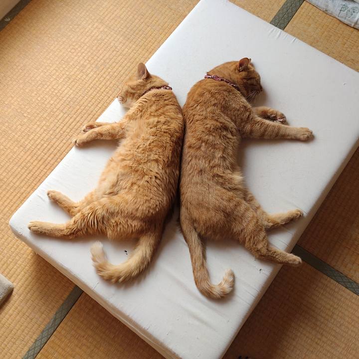 0c12c91c cae1 4eb6 973c 50bb0528dc15 1631503442829