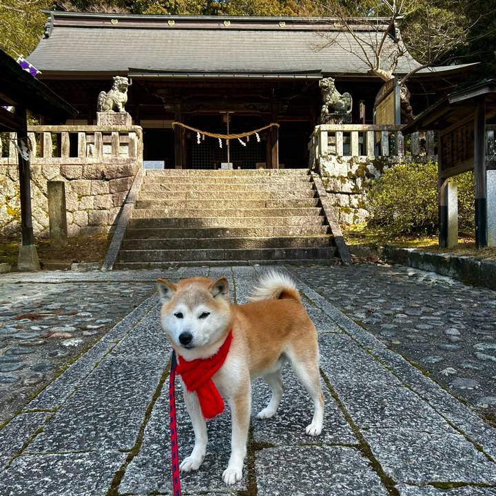 0c12e0eb f4da 4115 99de 65d907bf45cf 1773052437409