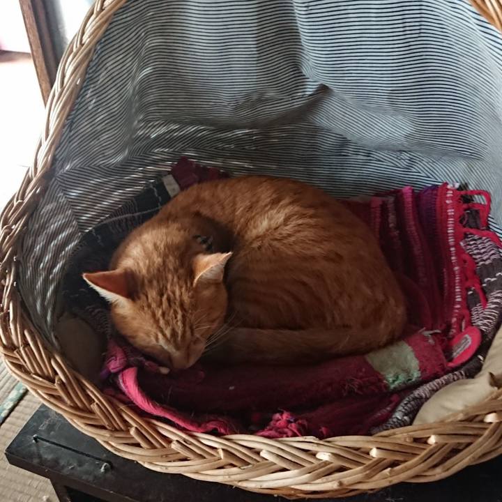 0c135d5a 9478 489e 90ed 99399b951788 1570320467958