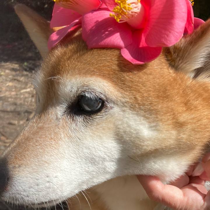 0c137ac6 0c82 4d23 81d0 943406644c89 1678773193985