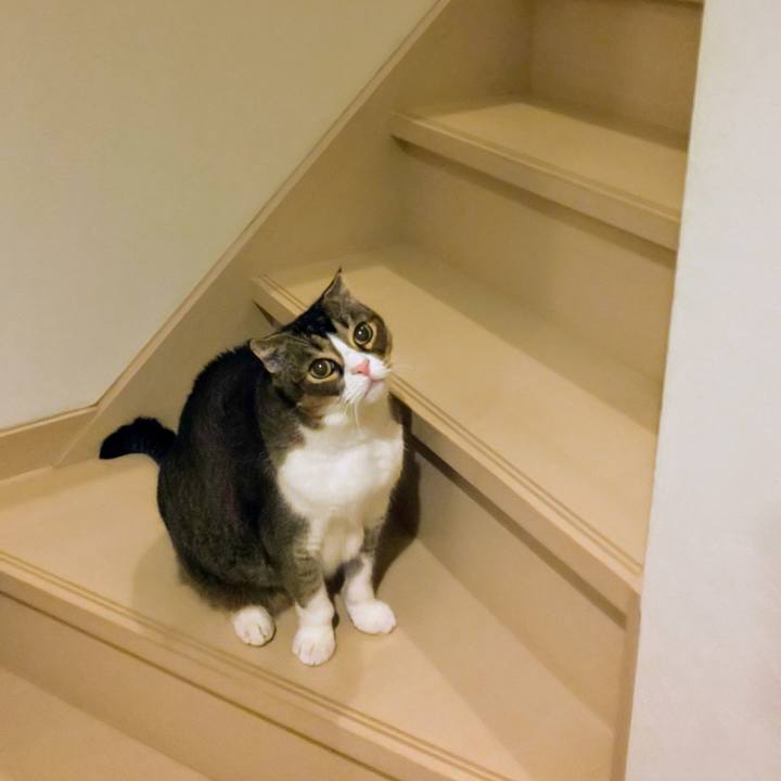 0c13adee fe84 4ea3 a11c 5fbd4636914b 1729253670026