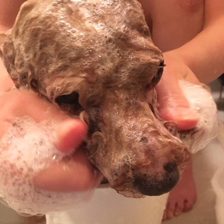 0c14040e fa07 4102 ab60 91cf2d1da9a6 1549882677084