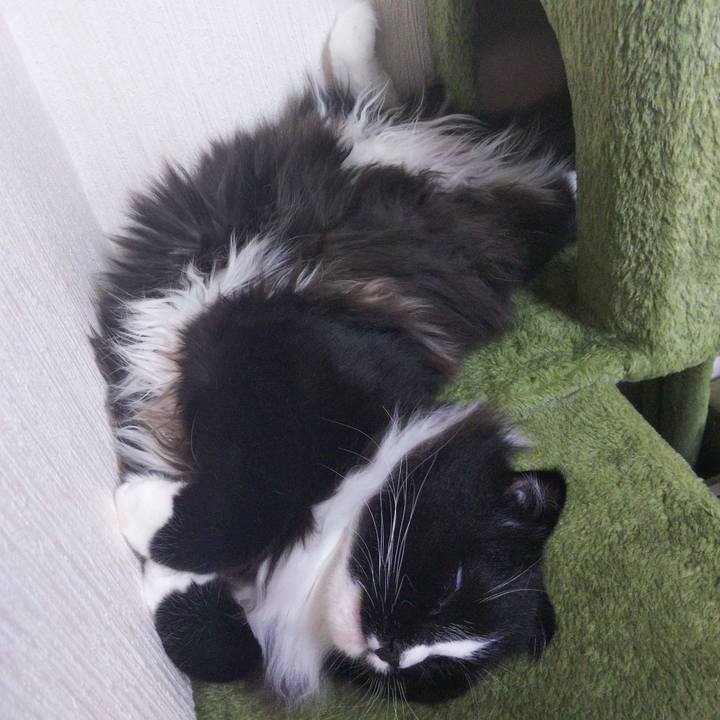 0c144a81 1672 410d b5f0 7ccd3868ee0e 1654480938333