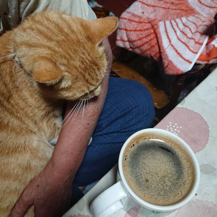 0c1467e0 ed5a 478e ab4b 897c799b4085 1593545193648