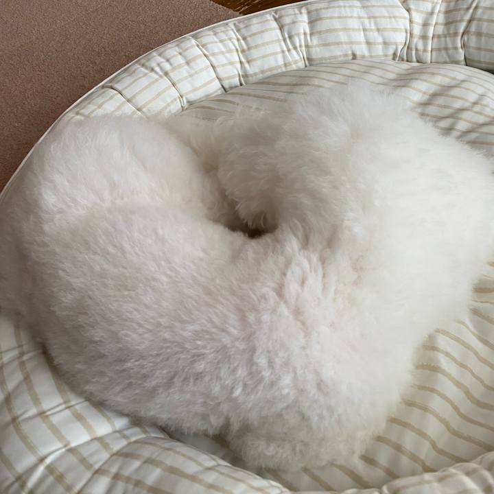 0c147057 820c 41e3 8693 cda534f48a1f 1657695120463