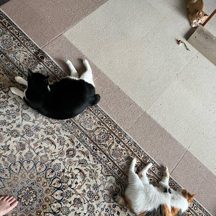 0c147fab 2062 4139 bc0d 46e40064a027 1790114042477
