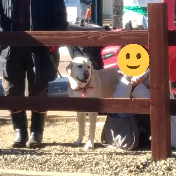 0c148217 2405 4ac7 bd4b a5cfc08d8d4b 1546571049622