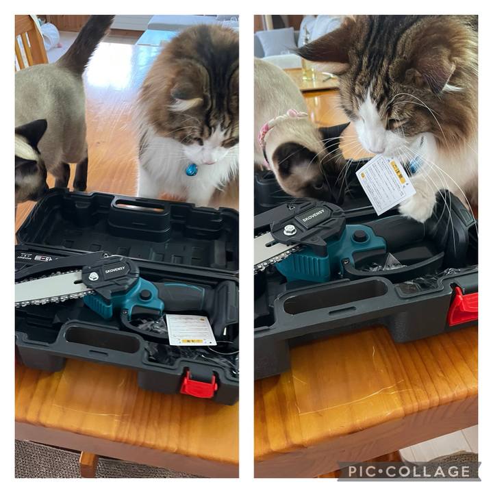 0c14b65b 3fa0 414a 985e 74b1e1c84f0b 1719046742688