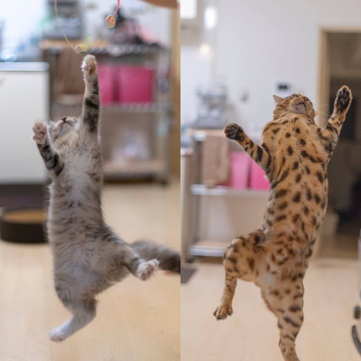 0c14c07e 4520 4ced abee 53076aa27f79 1537544113808