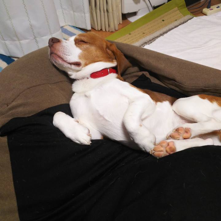 0c14f2a7 6b3e 463a 9220 84d7b90d6b76 1602162093244