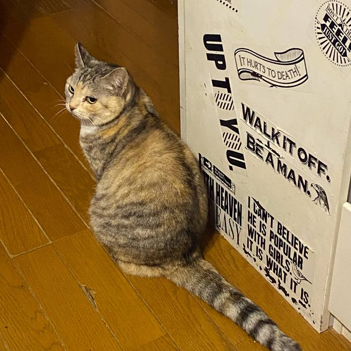 0c15370a 8799 49bc 909b b5e04113b22e 1674141201254