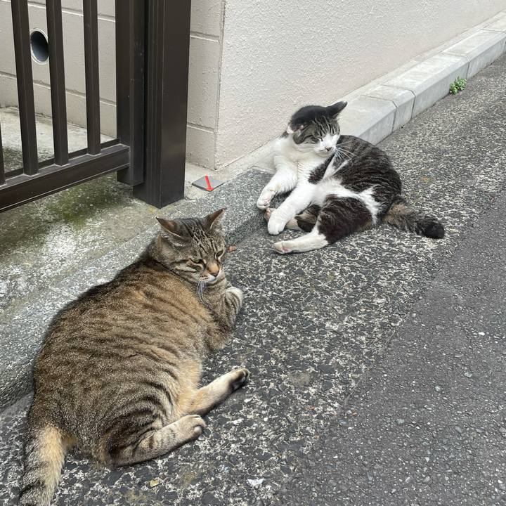 0c154080 32a2 4ee7 b4a9 45a7c3ee2045 1624440726357