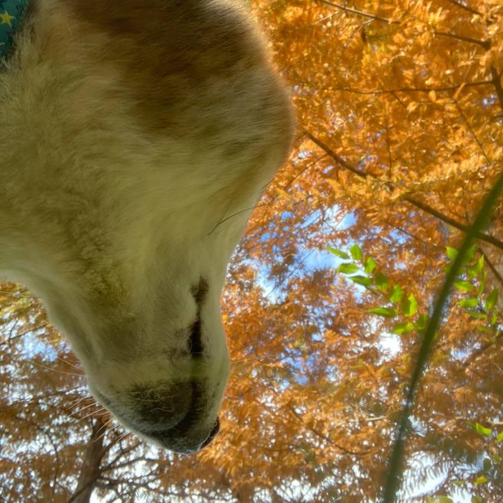 0c155170 df00 40d6 89ae a0c2d622e4ab 1700889254837