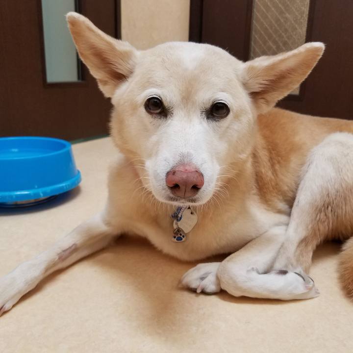 0c157a79 e868 4df5 b1a0 b73075a867e0 1544766906380