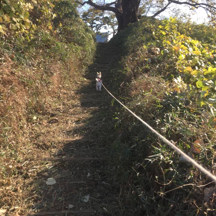 0c15e306 88cb 4e41 8924 e9902df9b00d 1512285896540