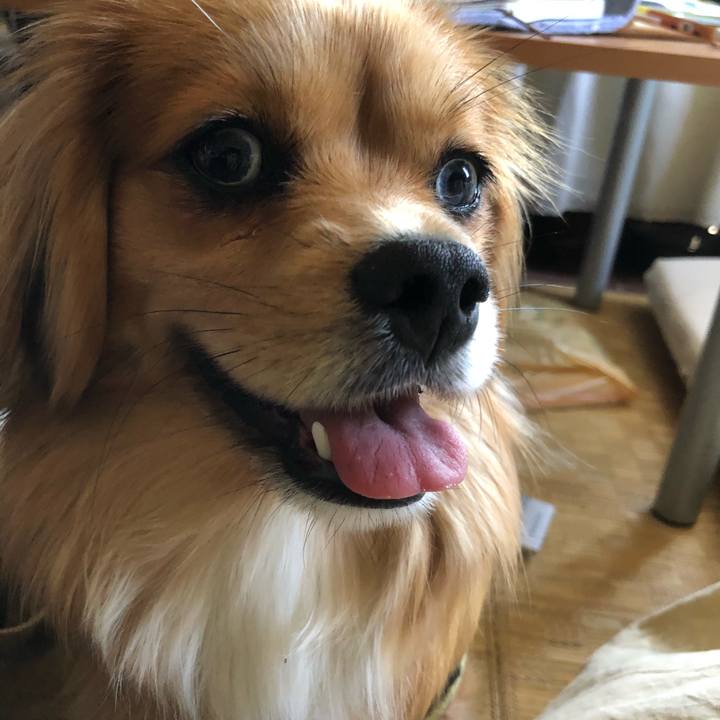 0c15f0f3 357c 4034 b458 9682debe86ee 1526773649125