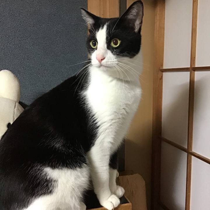 0c1608f1 a990 461e a263 53c57d8fa928 1695474047198