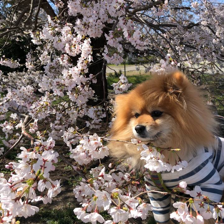 0c16d495 c5fc 4892 9839 f91113e09f67 1585018103979