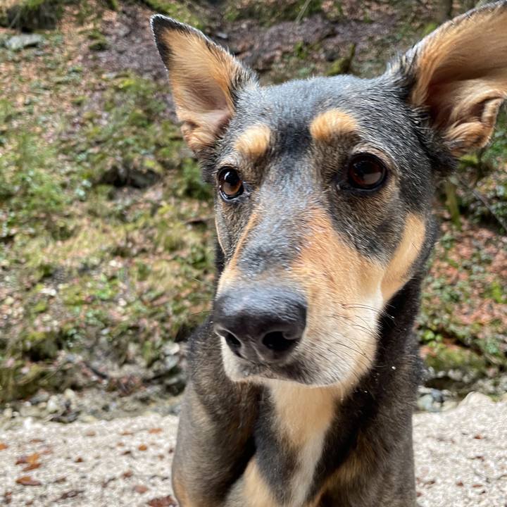 0c172edc d707 497a 9a5f 49df5a4d1518 1614934744758