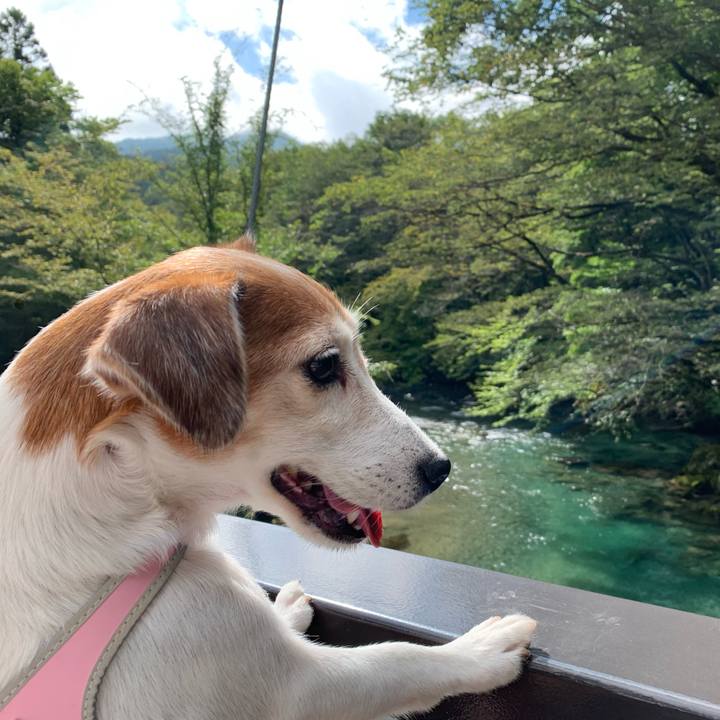 0c173637 389c 4518 a780 27ca1e6ffb6c 1602684140517