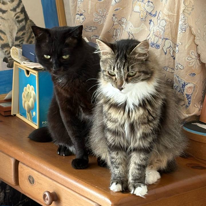 0c17544e 0319 4626 8cf1 d71155545782 1751327494158