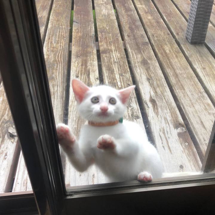 0c176cb4 15e9 4afc ad51 fbb8b6347a4b 1595112426942