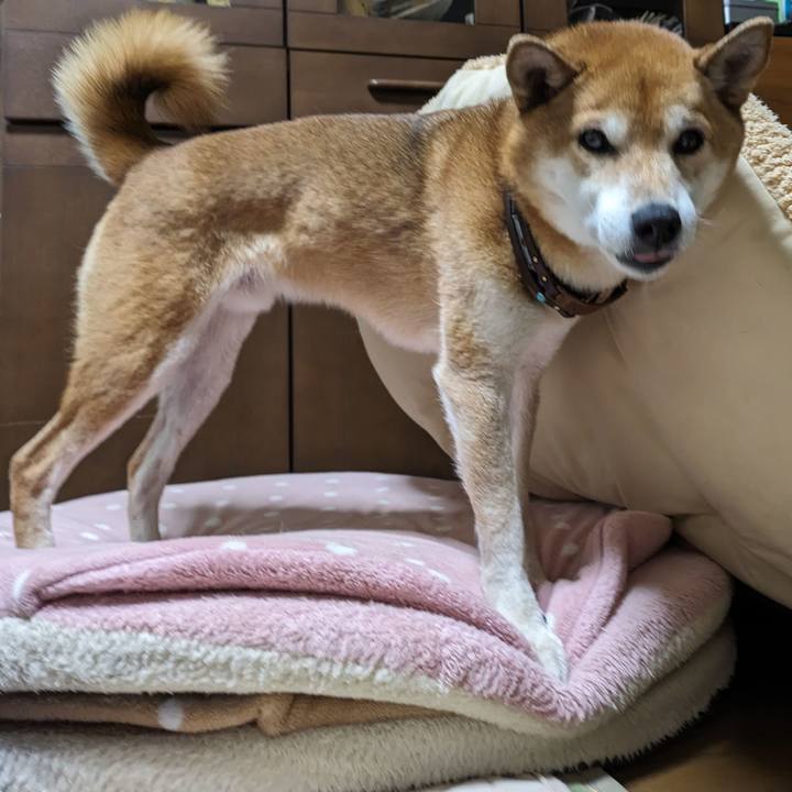 0c1775f8 9634 445a a848 c282bbb65114 1703860664233