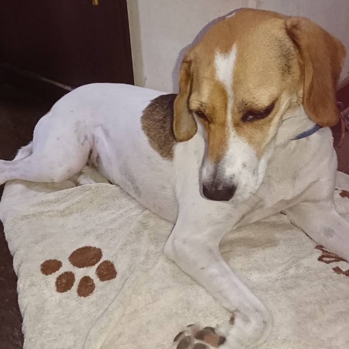 0c179955 912f 48fd bada 697b116f54cf 1570102361198